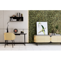 ZAMBIA - 47X109, PARROT, GLOSSY